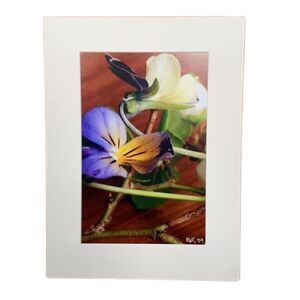 Bright & Beautiful Orchid Photograph Matted Print MIK 2009